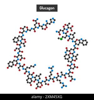 La molécule de traitement de l'hypoglycémie - glucagon Illustration de Vecteur