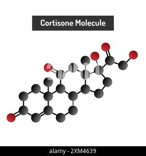 Molécule de cortisone - le rôle d'une hormone du stress dans l'inflammation et le métabolisme Illustration de Vecteur