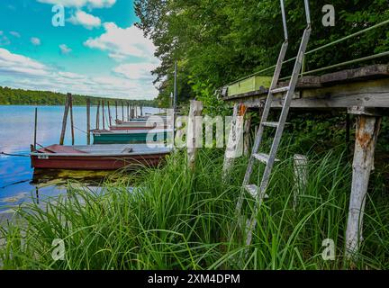 Strausberg, Allemagne. 25 juillet 2024. Une jetée et des bateaux sur Straussee. Le lac a perdu la moitié de son eau depuis une dizaine d'années. Depuis 2014, le niveau de l'eau a baissé d'environ 20 centimètres chaque année. La cause de la perte d'eau est inconnue. En raison de toutes les pluies de l'hiver dernier et de nouveau cet été, le niveau du lac Straus a augmenté d'environ dix centimètres pendant de nombreuses années. Crédit : Patrick Pleul/dpa/Alamy Live News Banque D'Images