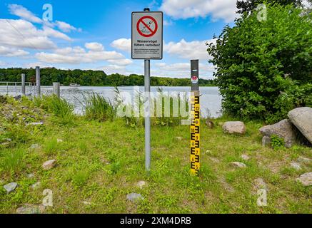 Strausberg, Allemagne. 25 juillet 2024. Un indicateur de niveau d'eau sur le lac Straus a longtemps été sec. Le lac a perdu la moitié de son eau depuis une dizaine d'années. Depuis 2014, le niveau de l'eau a baissé d'environ 20 centimètres chaque année. La cause de la perte d'eau est inconnue. En raison de toutes les pluies de l'hiver dernier et aussi cet été, le niveau du lac Straus a augmenté d'environ dix centimètres pendant de nombreuses années. Crédit : Patrick Pleul/dpa/Alamy Live News Banque D'Images