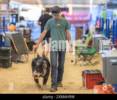 Jeune personne qui s'occupe de son animal à la California Mid-State Fair Banque D'Images