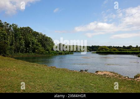 WESTERN conservation Lake - Cosmeston Lakes and Country Park, Penarth, Cardiff, pays de Galles du Sud. Prise en juillet 2024 Banque D'Images