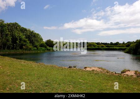 WESTERN conservation Lake - Cosmeston Lakes and Country Park, Penarth, Cardiff, pays de Galles du Sud. Prise en juillet 2024 Banque D'Images