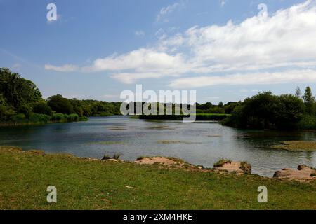 WESTERN conservation Lake - Cosmeston Lakes and Country Park, Penarth, Cardiff, pays de Galles du Sud. Prise en juillet 2024 Banque D'Images