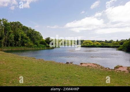 WESTERN conservation Lake - Cosmeston Lakes and Country Park, Penarth, Cardiff, pays de Galles du Sud. Prise en juillet 2024 Banque D'Images