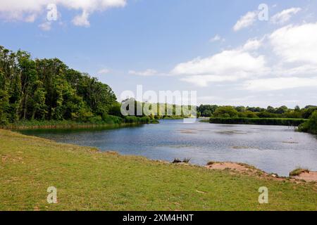 WESTERN conservation Lake - Cosmeston Lakes and Country Park, Penarth, Cardiff, pays de Galles du Sud. Prise en juillet 2024 Banque D'Images