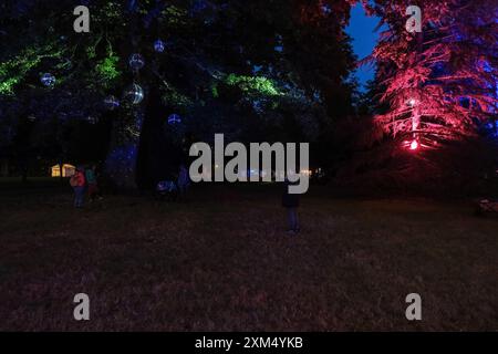 Malmesbury, Royaume-Uni. 25 juillet 2024. Ambiance pendant Womad - monde de la musique, des arts et de la danse 2024. Les arbres de l'arboretum sont éclairés de différentes couleurs avec des boules scintillantes. Photo de Julie Edwards./Alamy Live News Banque D'Images