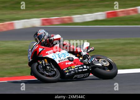 Glenn Irwin - Hager PBM Ducati - Rider numéro 2 sur une Ducati lors de la manche British Superbikes (BSB) 2024 à Brands Hatch en juillet 2024 Banque D'Images