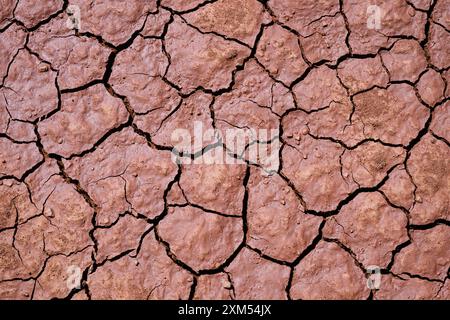 Motif naturel de mosaïque de sable humide du désert dans le sol de couleur chocolat craquelé Banque D'Images