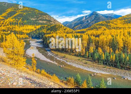 Couleurs d'automne le long de la rivière Middle fork sur la frontière du parc national des Glaciers, à Essex, Montana Banque D'Images