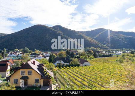 Wachau, Autriche - 26 octobre 2023 : vignobles de la vallée de la Wachau nichés dans les contreforts de l'Autriche. Banque D'Images