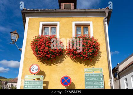 Wachau, Autriche - 26 octobre 2023 : Un bâtiment jaune avec des fleurs rouges dans des vitrines, à Wachau, Autriche. Banque D'Images