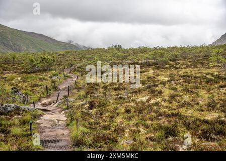 Vue sur les montagnes du parc territorial Tombstone dans le nord du Canada pendant l'été dans la région subarctique. Banque D'Images