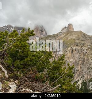 Circuit Tre Cime en juin : sentiers enneigés et sommets des Dolomites se mélangeant dans le paysage mystique brumeux Banque D'Images