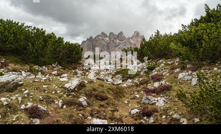 Circuit Tre Cime de juin : sentiers enneigés et spectaculaires sommets Dolomites émergeant à travers les nuages. Banque D'Images