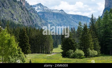 Découvrez la grandeur des Dolomites vues depuis Selva di Val Gardena. Profitez d'une vue imprenable sur les sommets déchiquetés et les paysages sereins. Banque D'Images