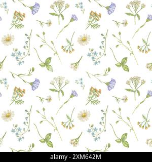 Motif aquarelle sans couture avec des fleurs sauvages de camomille, lin, yarrow, Forget-me-not, tanaisie. Le motif convient aux papiers peints délicats Banque D'Images