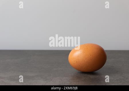 Gros oeuf simple brun sur table grise sur fond blanc. Banque D'Images