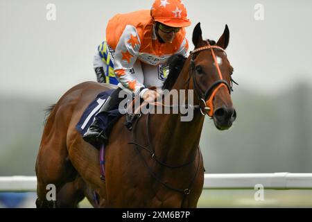 Newbury, Royaume-Uni. 23 juillet 2024. Warmonger monté par Marco Ghiani remporte le 7,45 obtenir la meilleure cote garantie à BetVictor handicap à Newbury Racecourse, Royaume-Uni. Crédit : Paul Blake/Alamy Live News. Banque D'Images