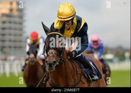 Newbury, Royaume-Uni. 23 juillet 2024. Niloufar monté par Millie Wonnacott remporte le Gardner leader handicap 8,15 à Newbury Racecourse, Royaume-Uni. Crédit : Paul Blake/Alamy Live News. Banque D'Images