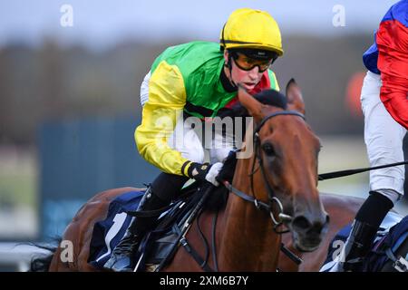 Newbury, Royaume-Uni. 23 juillet 2024. Throubi piloté par Ross Coakley remporte le Rayner Bosch car Service handicap 8,45 à l'hippodrome de Newbury, au Royaume-Uni. Crédit : Paul Blake/Alamy Live News. Banque D'Images