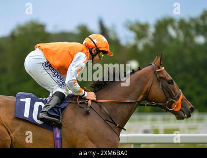 Newbury, Royaume-Uni. 23 juillet 2024. Warmonger monté par Marco Ghiani remporte le 7,45 obtenir la meilleure cote garantie à BetVictor handicap à Newbury Racecourse, Royaume-Uni. Crédit : Paul Blake/Alamy Live News. Banque D'Images