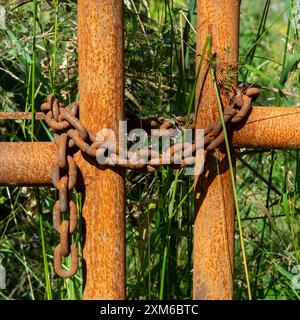 Une chaîne rouillée fixe deux poteaux de portail en métal rouillé dans un champ de grande herbe verte. La chaîne est drapée sur les poteaux et fixée sur un côté. Banque D'Images