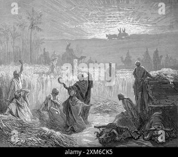 Gravure sur bois du retour de l'Arche à Beth-Shemesh par Gustave Dore - les Philistins retournent l'Arche de l'Alliance à Israël après avoir eu c Banque D'Images