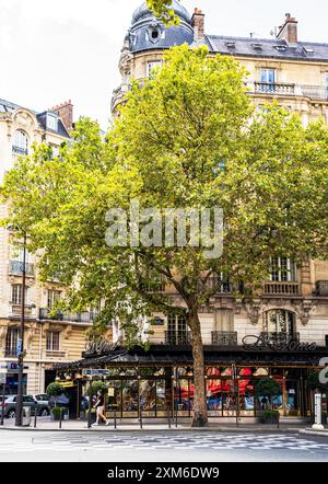 Vue extérieure du Café du Dome, célèbre café et restaurant parisien du quartier Montparnasse, centre-ville de Paris, France Banque D'Images