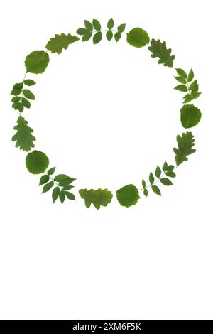 Couronne verte de frêne de chêne et de feuilles de noisette. Printemps été druide symbole de force, de renouvellement et de protection de la magie de la terre naturelle antique sur blanc. Banque D'Images