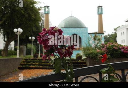 Die Imam-Ali-Moschee Blaue Moschee an der Außenalster. Der Zugang zum Gebäude in der Straße Schöne Aussicht 36 ist nach dem Verbot des Islamischen Zentrums Hamburg, der Träger des Gebäudes, durch das Bundesinnenministerium versperrt. Wie es mit der Imam-Ali-Moschee nun weitergeht, ist noch ungeklärt. Uhlenhorst Hambourg *** la Mosquée bleue de l'imam Ali sur l'Alster extérieur L'accès au bâtiment de Schöne Aussicht 36 a été bloqué après que le ministère fédéral de l'intérieur a interdit le Centre islamique de Hambourg, qui sponsorise le bâtiment il est encore difficile de savoir ce qui va arriver à l'Imam Ali Mo Banque D'Images