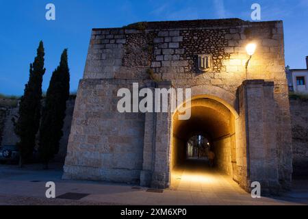 Entrée de la ville, Ciudad Rodrigo, Salamanque, Castilla y Leon, Espagne Banque D'Images