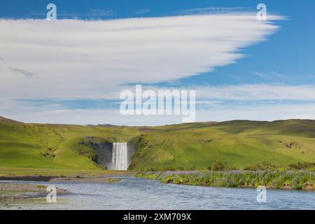 Skogafoss, cascade de 63m de haut, été, Islande Banque D'Images