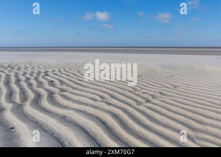 Marques d'ondulation, structures dans les vasières, parc national de la mer des Wadden, Schleswig-Holstein, Allemagne Banque D'Images