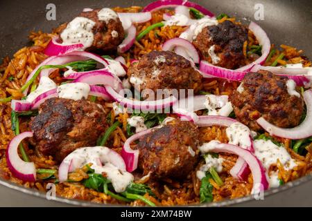 Boulette de viande d'agneau biryani avec mayonnaise à la menthe et oignons marinés Banque D'Images