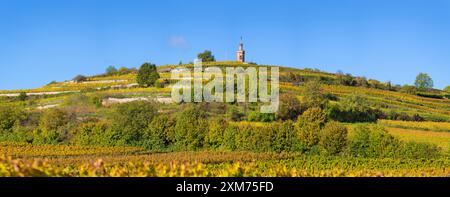 Panorama de la tour du drapeau dans les vignobles de Bad Dürkheim, Rhénanie-Palatinat, Allemagne Banque D'Images