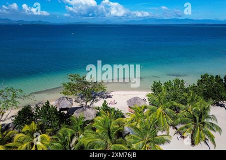 Vue aérienne des cocotiers et de la plage sur Cowrie Island, Honda Bay, près de Puerto Princesa, Palawan, Philippines Banque D'Images