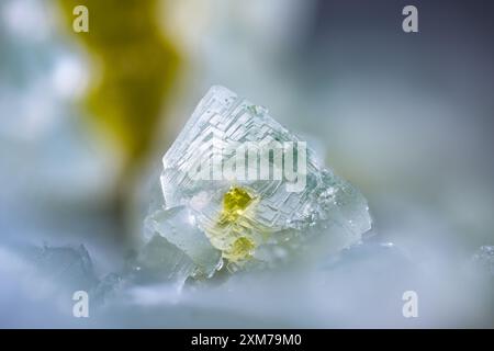 Cristal de prehnite avec inclusion d'épidote. Spécimen d'Arvigo, Suisse. Micro photographie en gros plan. Photographie au microscope pour Scientific Banque D'Images