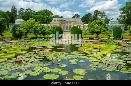 Bassin de nénuphars Wilhelma jardin zoologique-botanique, Wilhelma, Stuttgart, Bade-Wurtemberg, Allemagne, Europe Banque D'Images