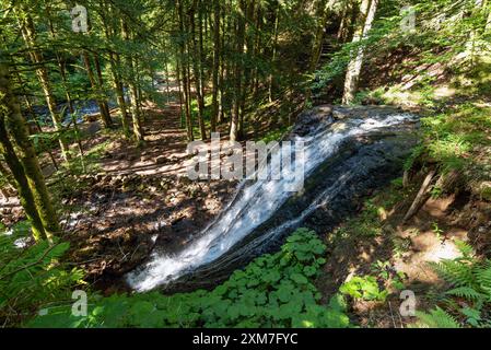 Cascade du Rossignolet cascade au coucher du soleil située à Mont-Dore, département du Puy-de-Dôme, dans le massif Central, France. Banque D'Images