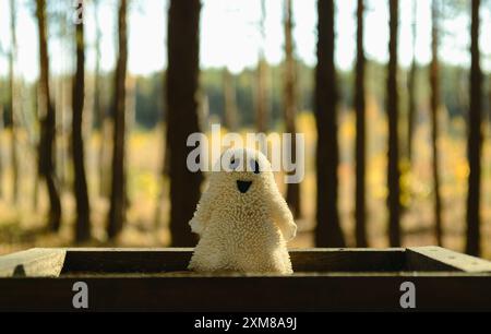 Un jouet fantôme souriant se tient sur une planche de bois sur fond de troncs d'arbres dans la forêt Banque D'Images