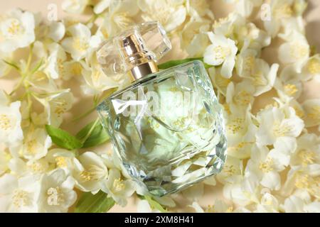 Bouteille de parfum aromatique parmi les fleurs de jasmin sur fond beige, pose plate Banque D'Images