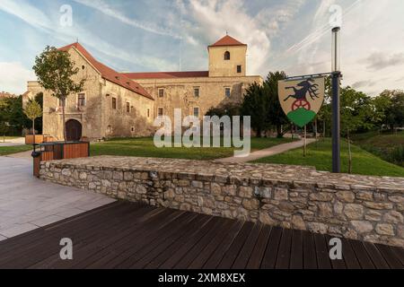 Vue aérienne du château de Varpalota Thury avec toit rouge orangé récemment rénové, quatre tours rectangulaires au milieu de l'ancienne ville minière avec commu Banque D'Images