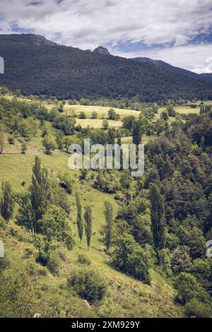 Beau paysage de Cerdagne, Catalogne présentant des collines verdoyantes, des arbres et des montagnes sous un ciel nuageux. Banque D'Images
