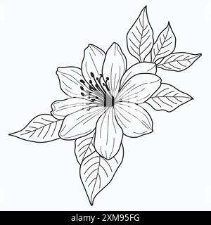 Un dessin vectoriel dessiné à la main de fleur de jasmin, mettant en valeur des détails complexes et une élégance délicate. Idéal pour les projets de design intemporels et inspirés de la nature Illustration de Vecteur