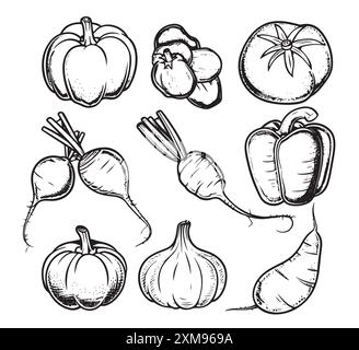 Ensemble de motifs légumes et fruits, Doodle concept végétarien doodle Organic Doodle food, cultiver des aliments Illustration de Vecteur