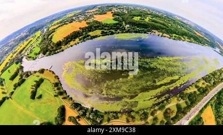 Luftbild, Kemnader Stausee mit Elodea, Wasserpest, Algenblüte, Segelboote und Stand-Up Paddeler, Bochum, Nordrhein-Westfalen, Deutschland ACHTUNGxMINDESTHONORARx60xEURO *** vue aérienne, réservoir de Kemnader avec elodea, eau, fleurs d'algues, voiliers et pagaies debout, Bochum, Rhénanie du Nord-Westphalie, Allemagne Banque D'Images