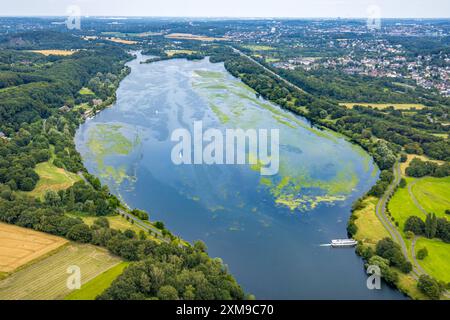 Luftbild, Kemnader Stausee mit Elodea, Wasserpest, Algenblüte, Segelboote und Stand-Up Paddeler, Witten, Nordrhein-Westfalen, Deutschland ACHTUNGxMINDESTHONORARx60xEURO *** vue aérienne, réservoir de Kemnader avec elodea, eau, fleurs d'algues, voiliers et pagaies debout, Witten, Rhénanie du Nord-Westphalie, Allemagne Banque D'Images