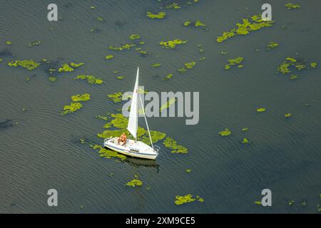 Luftbild, Kemnader Stausee mit Elodea, Wasserpest, Algenblüte, Segelboote und Stand-Up Paddeler, Witten, Nordrhein-Westfalen, Deutschland ACHTUNGxMINDESTHONORARx60xEURO *** vue aérienne, réservoir de Kemnader avec elodea, eau, fleurs d'algues, voiliers et pagaies debout, Witten, Rhénanie du Nord-Westphalie, Allemagne Banque D'Images