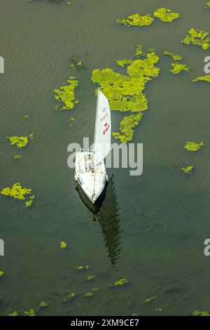 Luftbild, Kemnader Stausee mit Elodea, Wasserpest, Algenblüte, Segelboote und Stand-Up Paddeler, Witten, Nordrhein-Westfalen, Deutschland ACHTUNGxMINDESTHONORARx60xEURO *** vue aérienne, réservoir de Kemnader avec elodea, eau, fleurs d'algues, voiliers et pagaies debout, Witten, Rhénanie du Nord-Westphalie, Allemagne Banque D'Images